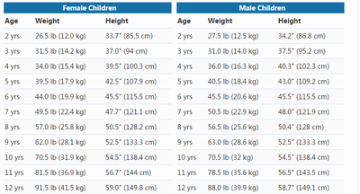 Weight For Age How Much Should A 4 Year Old Weight